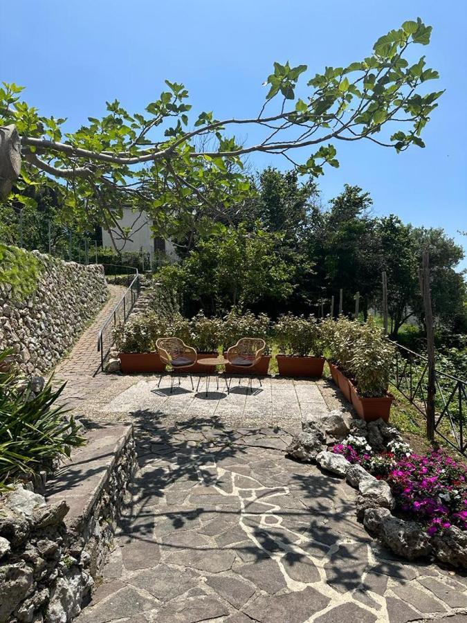 Maera B&B Ravello Eksteriør bilde